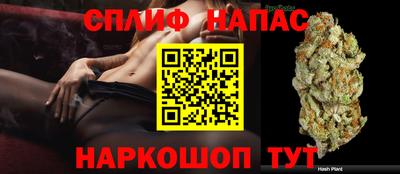 Альфа ПВП Краснознаменск