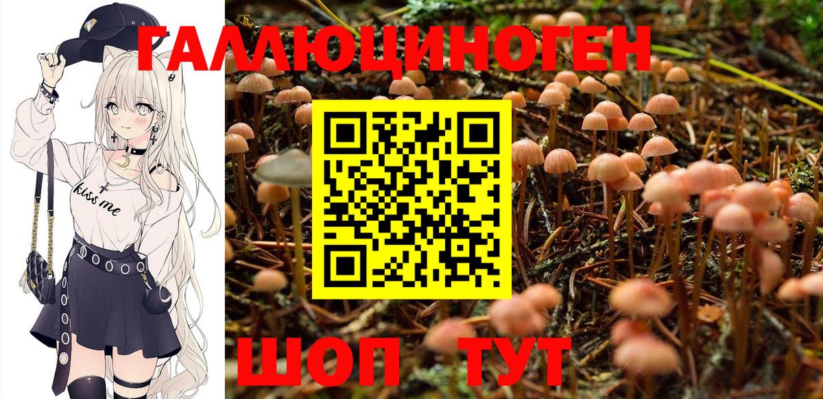 как найти   Псилоцибиновые грибы мухоморы  Урюпинск  Вход с VPN  Галлюциногенные грибы Magic Shrooms 